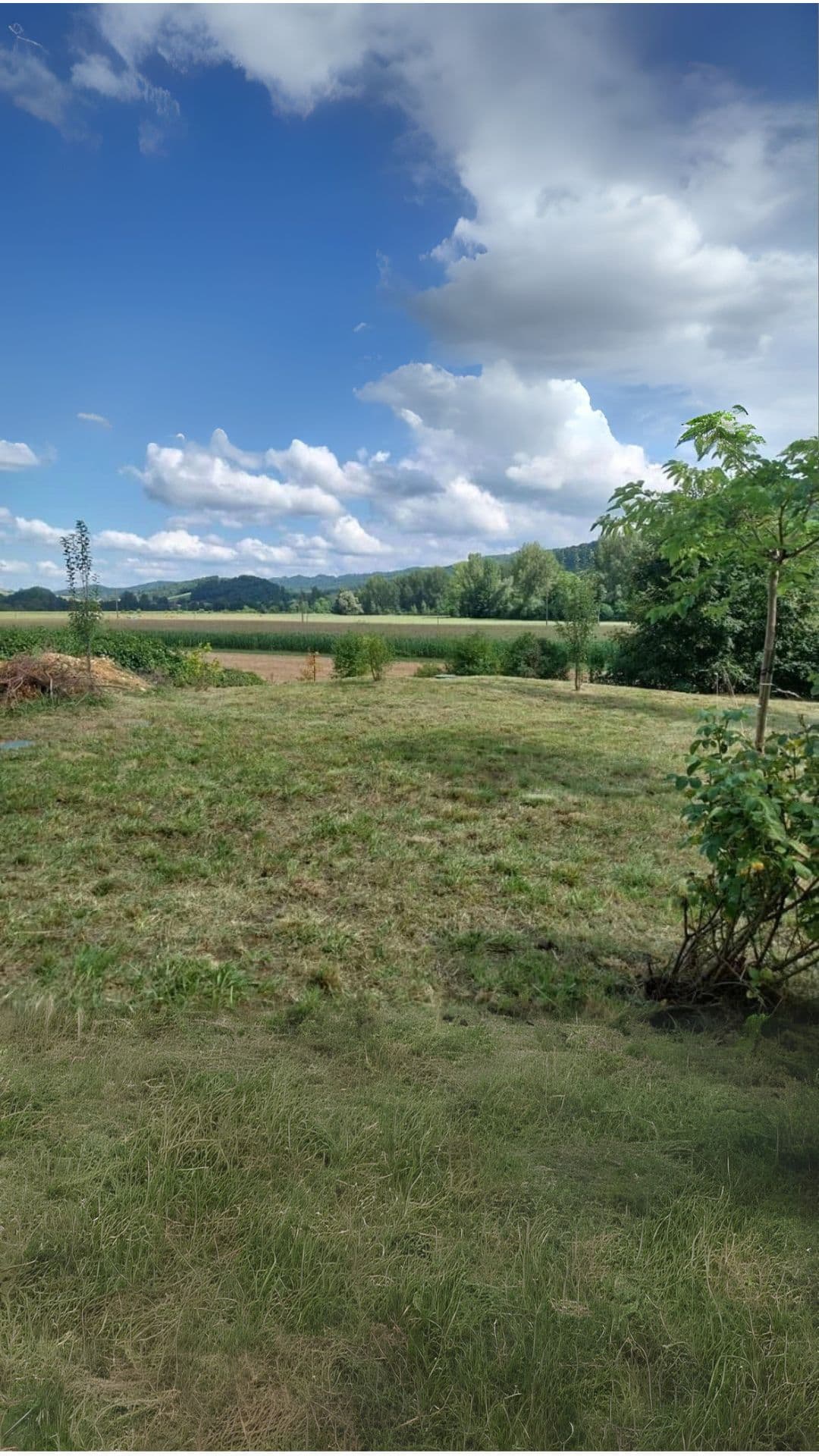 Après - Grand terrain Pamiers