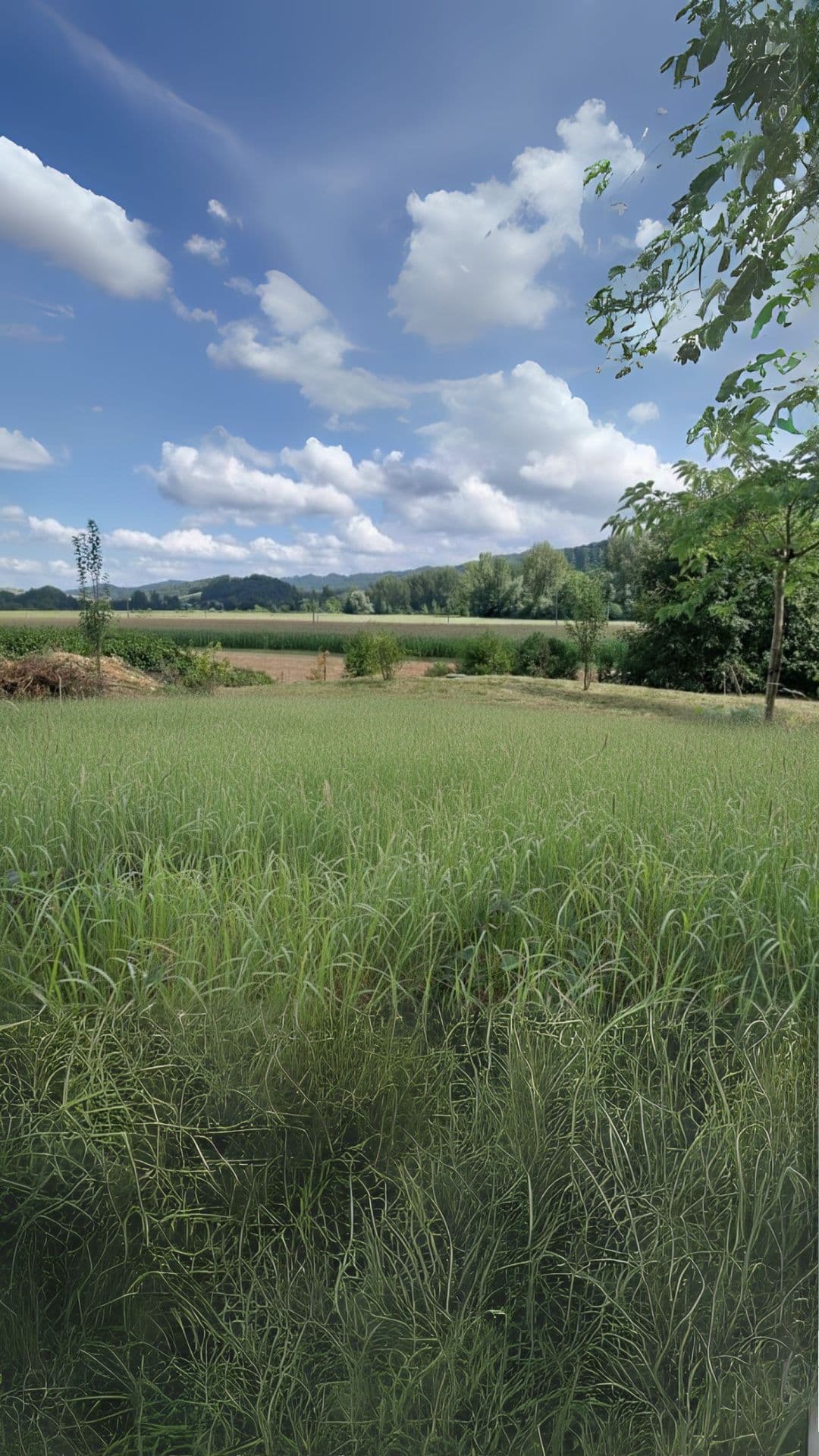 Avant - Grand terrain Pamiers