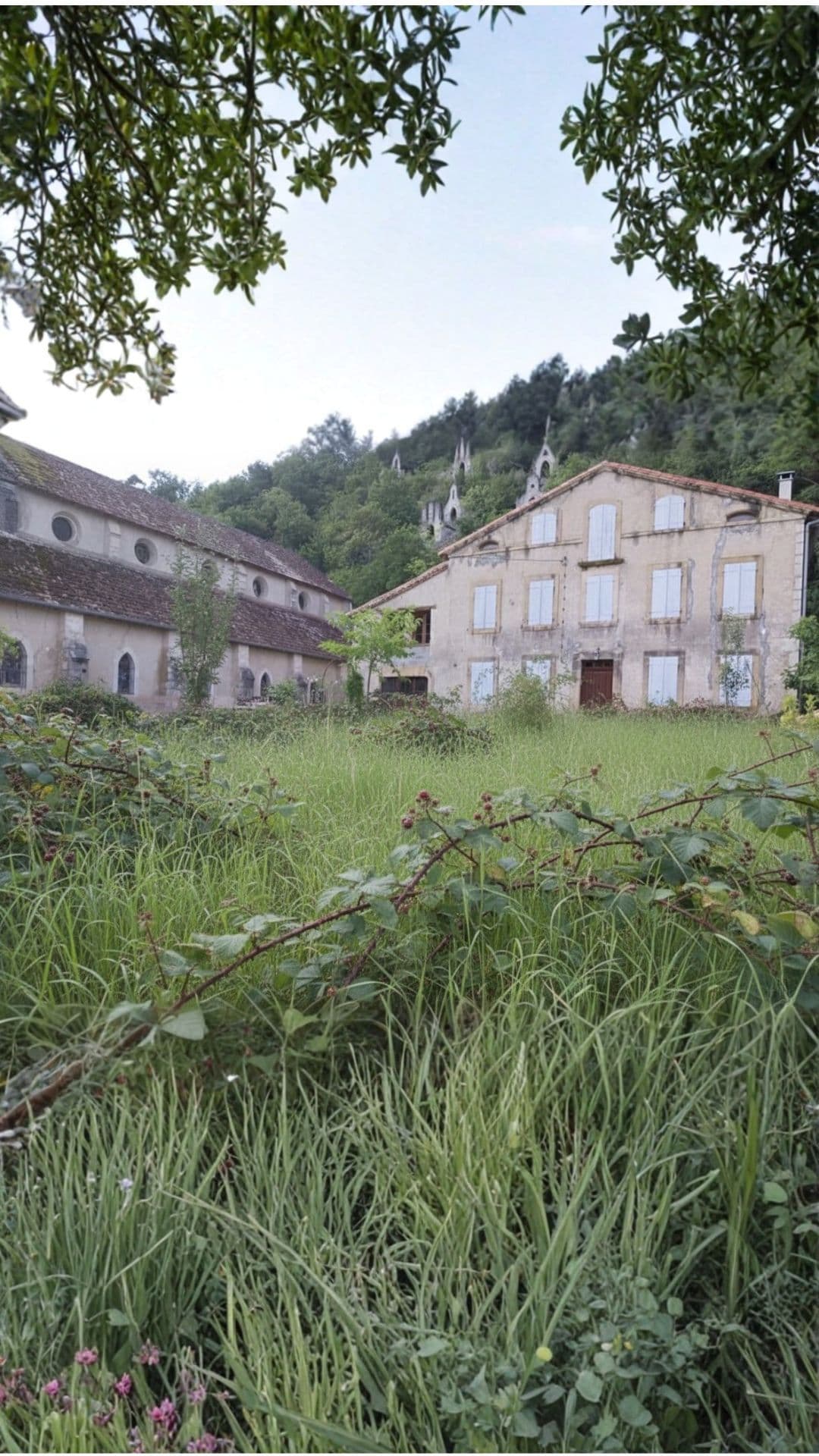 Avant - Terrain bâtiment Angoulême