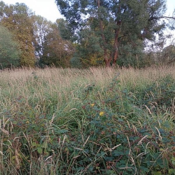 Avant - Terrain Narbonne