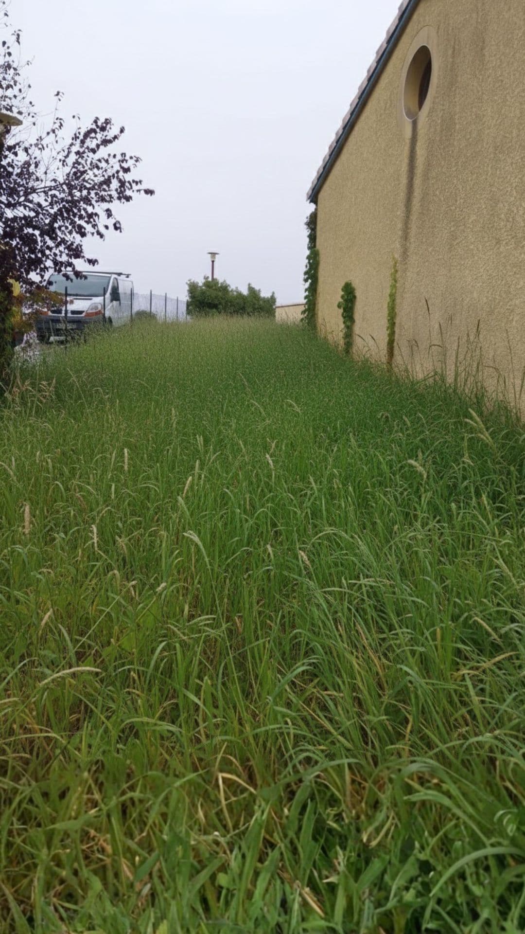 Avant - Pelouse Limoges